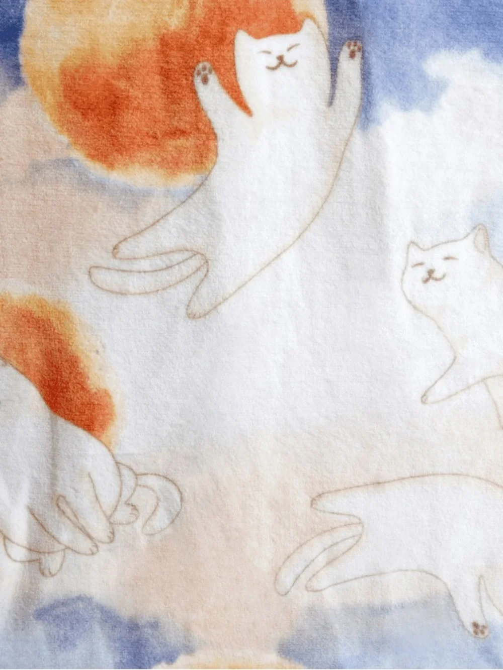 Cat Lady Box MORNING STRETCH Blanket